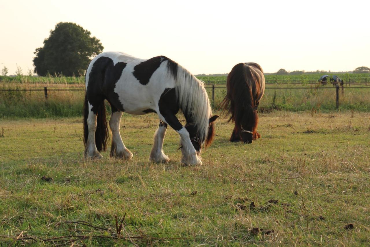 Hotel Slapen Tussen De Paarden Essen Exterior foto