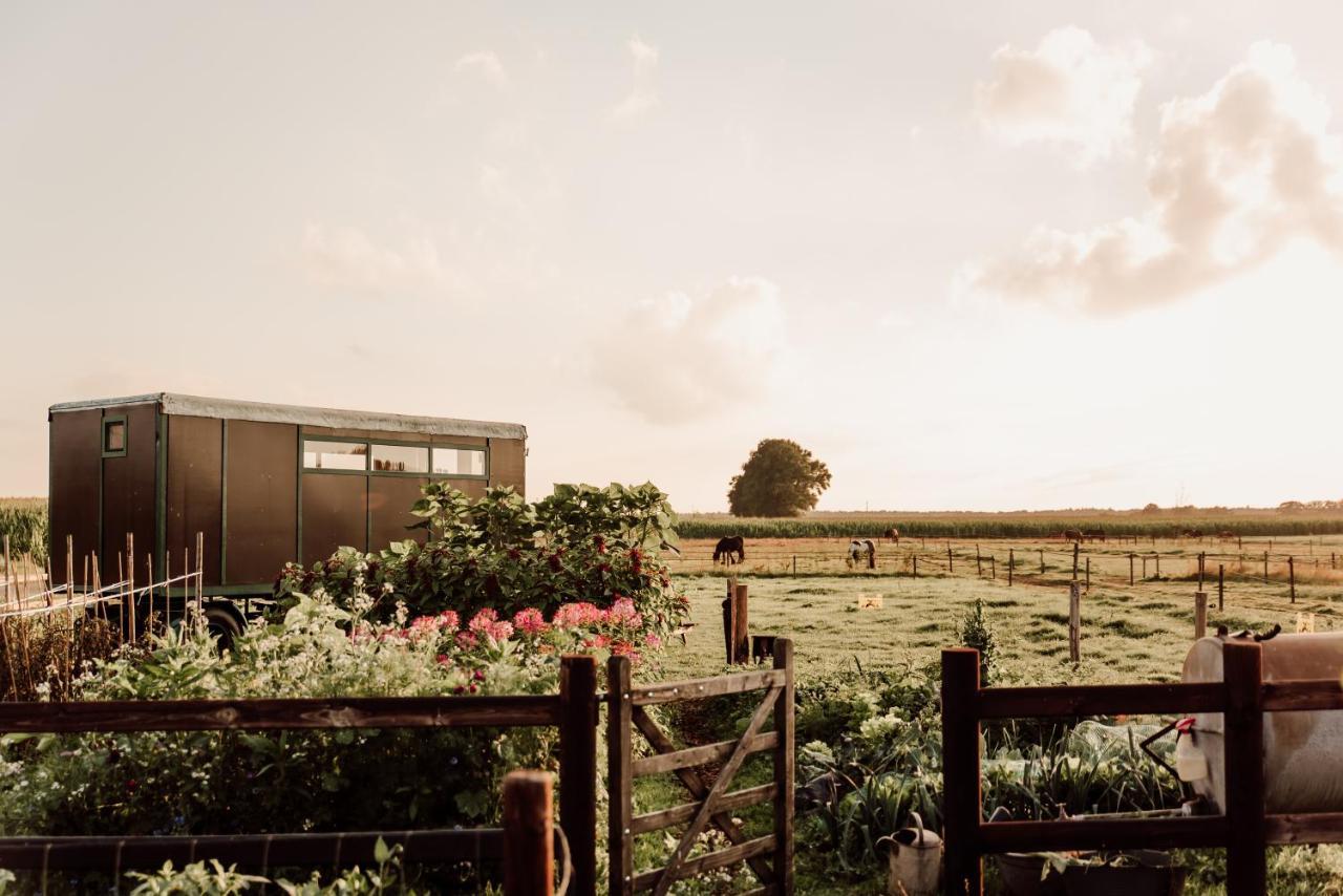 Hotel Slapen Tussen De Paarden Essen Exterior foto